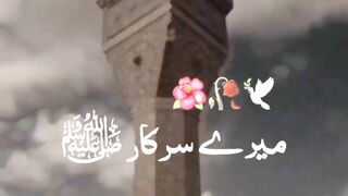 I love Madina Mashallah subhallah???????????????? please like video please