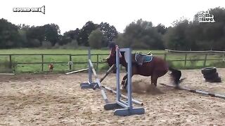 Funniest Horses ???? BEST Compilation