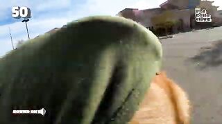 Skateboarding Speed Demon Dog FUNNIEST Pets of the Month ????