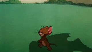 Tom and Jerry cartoon video
