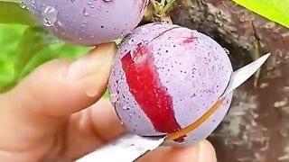 Enjoy Beautiful Nature With Rural Life ???????????? #shorts #fruit