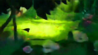 magical forest story