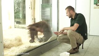 Funniest ANIMAL Videos 2024 will make you LAUGH SO HARD