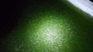Estimasi 50rb larva lele dikolam semoga tidak kepadatan