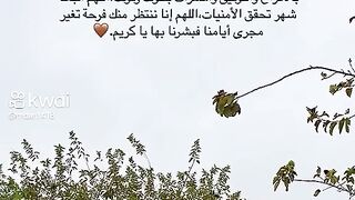 اول شهر
