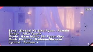 Zindagi Ko Bina Pyar Kaise Gujare (Female) - Lyrical _ Haan Maine Bhi Pyaar Kiya _ Alka Yagnik
