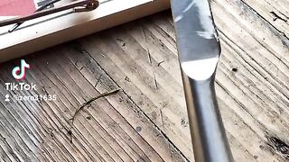 Rat trap