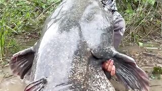 MONISTER OMG Big Fish FYP