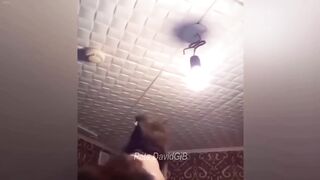 You Laugh You Lose ???? Funniest Cats and Dogs 2024 ????????