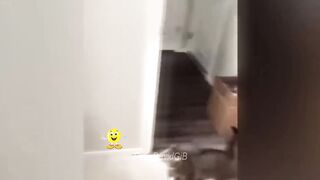 You Laugh You Lose ???????? Funniest Dogs and Cats 2024 ????????????