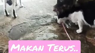 makan terus meeeng.. mumpung kebagian
