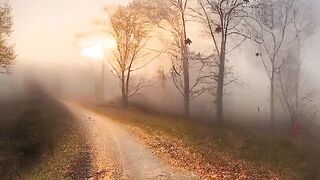 Beautiful view of nature 171
