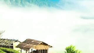 Beautiful view of nature 170