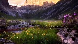 Beautiful view of nature 169