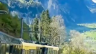 Beautiful view of nature 168