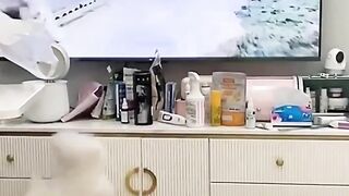 Cute And Very Funny Dogs And Cats Compilation ! #shorts #cats #dogs #animals #viral