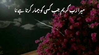 Islamic Lines
