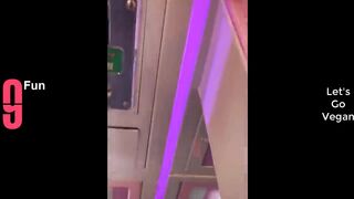Funny videos