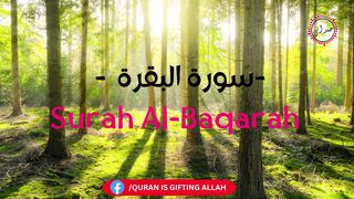 MOST BEAUTIFUL RECTITION Of SURAH AL BAQARAH - Sheikh Saad Al-Ghamdi