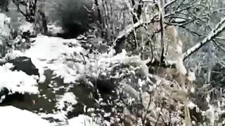 Enjoy snowfall in the new year 2023