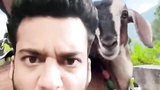 Bakri chor