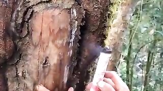 Most Popular ???? Satisfying  _ #Shorts #A2V #ASMR #Relax #satisfy #viral #ytshortsindia ..