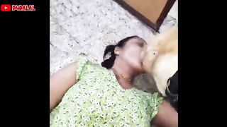 Human and Animal Love