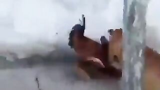 Funny  fight 2023