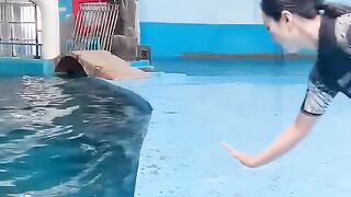 Dolphin_love_????__humans