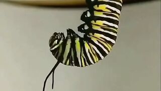 the nature of God