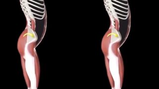 Fix Your Posture in 10 Minutes #posture #posturecorrector #fitnessmantram