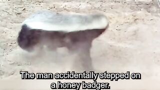 badger bite a man on his leg