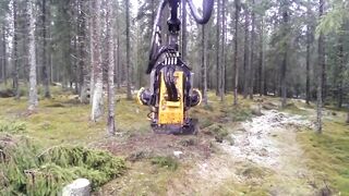 Amazing technology of removing big plants