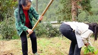 Watch funny video