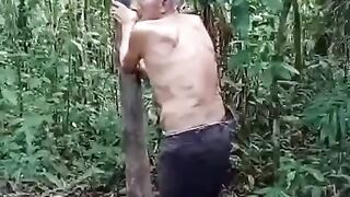 Velhinho sobe em pé de Açaí