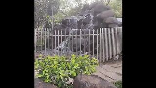 Water fall fall ????????