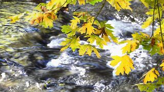 beauty of nature