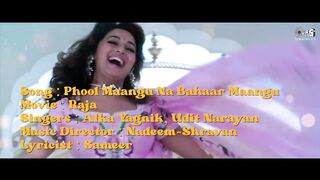 Phool Maangu Na Bahaar Maangu - Lyrical _ Alka Yagnik_ Udit Narayan _ Madhuri Dixit _ 90_s Hits
