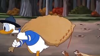 the duck's walnuts were stolen..…..haha ha