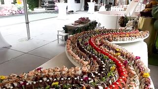 Sushi professionnel
