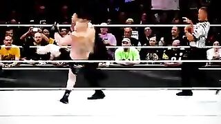 ROMAN VS BROCK