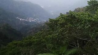 oxygen seekers in the wild