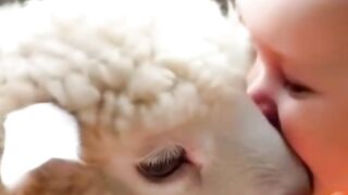 Bebês com os animais lindos e fofosvideo#engracado#animal#animais#animaisnotiktok