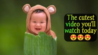 The cutest video you'll watch today.