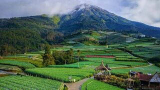 Wonderful nature landscape