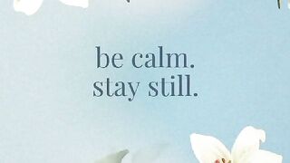 be calm. stay still.
