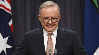 Albanese government ‘rewarding Hamas’ with split from US on Palestine vote