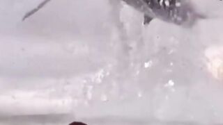 Amazing fish jump #shorts