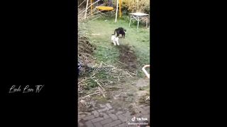 The funniest funny moments