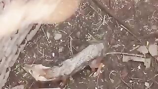 He climbed into a well to save a predator.
